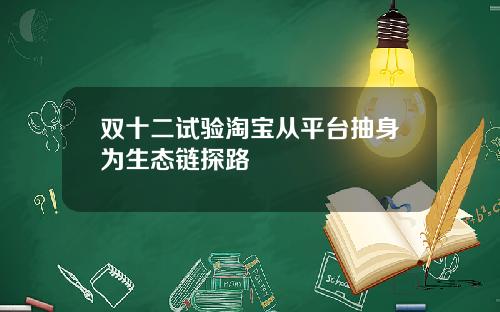 双十二试验淘宝从平台抽身为生态链探路
