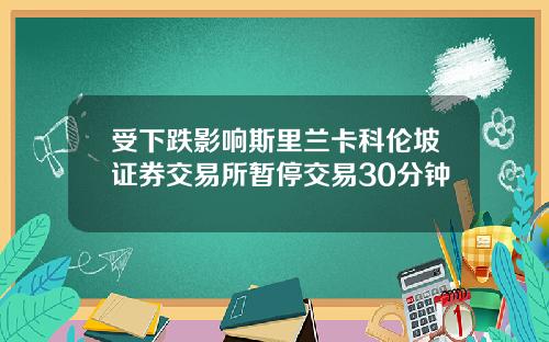 受下跌影响斯里兰卡科伦坡证券交易所暂停交易30分钟
