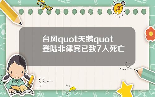 台风quot天鹅quot登陆菲律宾已致7人死亡