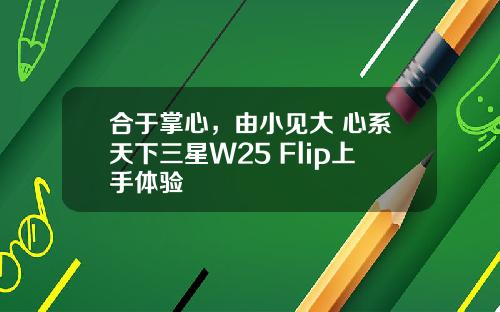 合于掌心，由小见大 心系天下三星W25 Flip上手体验