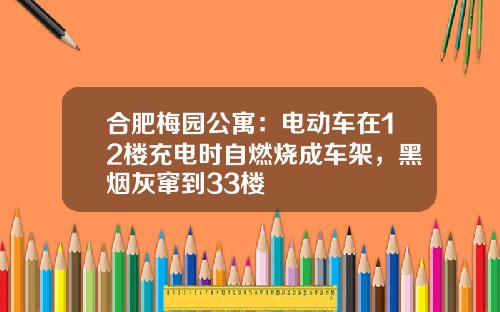 合肥梅园公寓：电动车在12楼充电时自燃烧成车架，黑烟灰窜到33楼