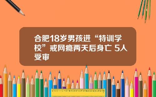 合肥18岁男孩进“特训学校”戒网瘾两天后身亡 5人受审