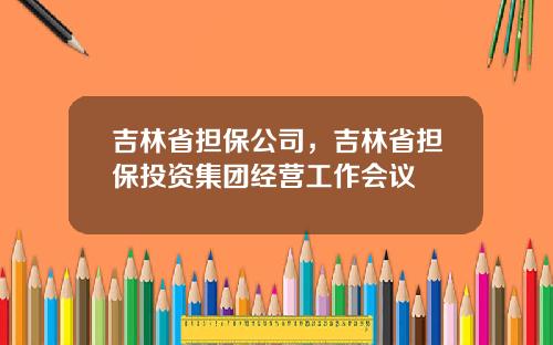 吉林省担保公司，吉林省担保投资集团经营工作会议