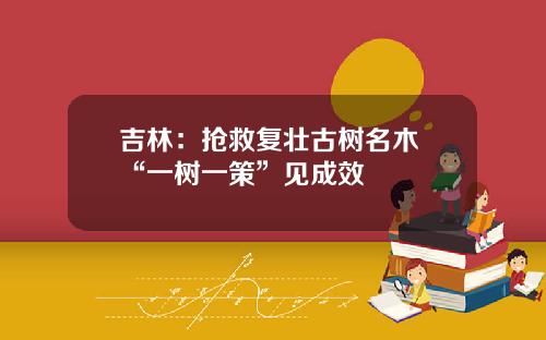 吉林：抢救复壮古树名木 “一树一策”见成效