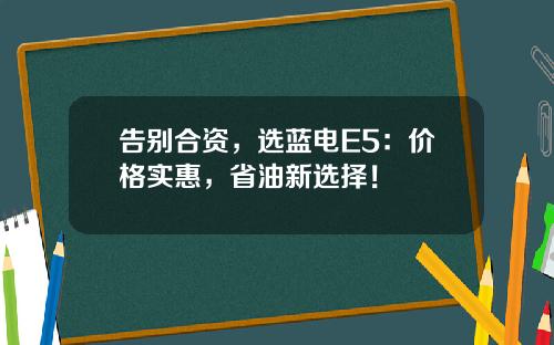 告别合资，选蓝电E5：价格实惠，省油新选择！