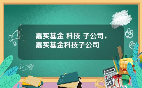 嘉实基金 科技 子公司，嘉实基金科技子公司
