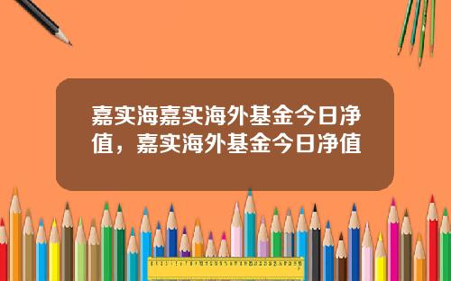 嘉实海嘉实海外基金今日净值，嘉实海外基金今日净值
