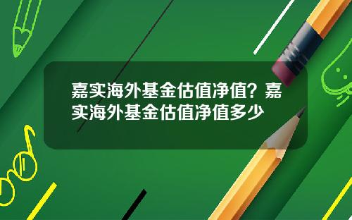 嘉实海外基金估值净值？嘉实海外基金估值净值多少