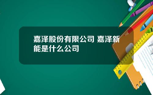 嘉泽股份有限公司 嘉泽新能是什么公司