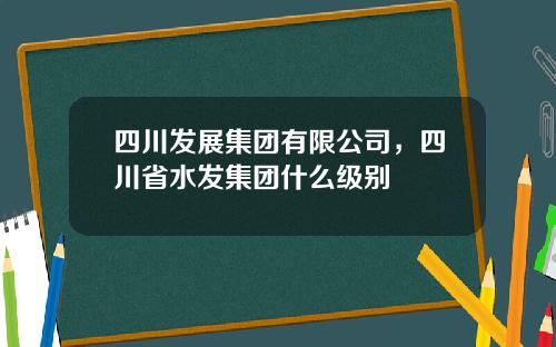 四川发展集团有限公司，四川省水发集团什么级别