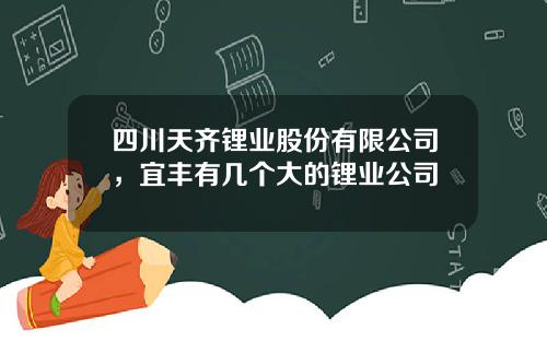 四川天齐锂业股份有限公司，宜丰有几个大的锂业公司