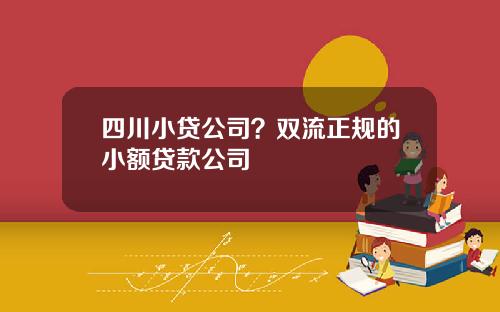 四川小贷公司？双流正规的小额贷款公司