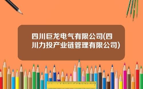 四川巨龙电气有限公司(四川力投产业链管理有限公司)