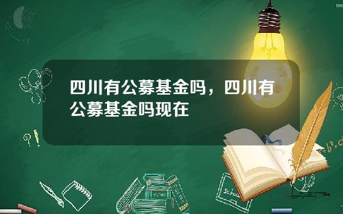四川有公募基金吗，四川有公募基金吗现在