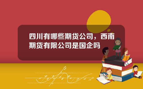 四川有哪些期货公司，西南期货有限公司是国企吗