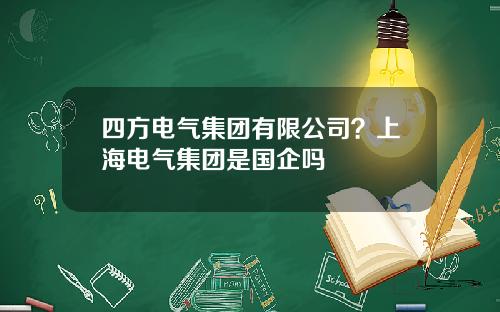 四方电气集团有限公司？上海电气集团是国企吗