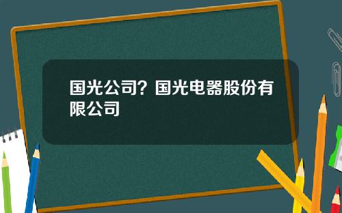 国光公司？国光电器股份有限公司