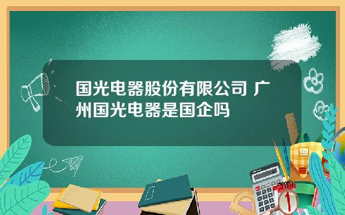 国光电器股份有限公司 广州国光电器是国企吗
