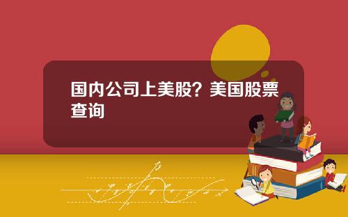 国内公司上美股？美国股票查询