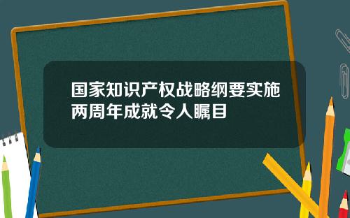 国家知识产权战略纲要实施两周年成就令人瞩目