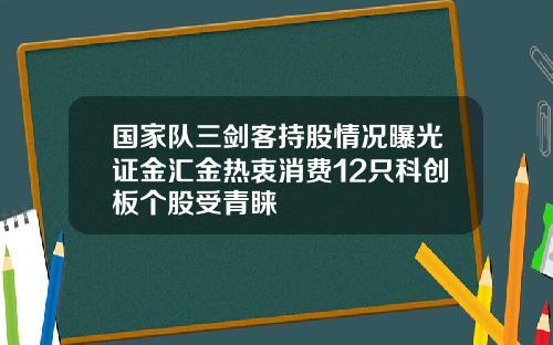 国家队三剑客持股情况曝光证金汇金热衷消费12只科创板个股受青睐