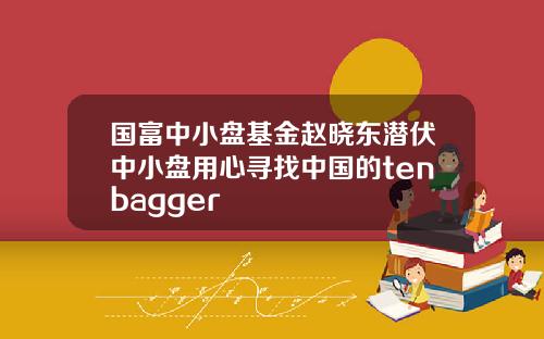 国富中小盘基金赵晓东潜伏中小盘用心寻找中国的tenbagger