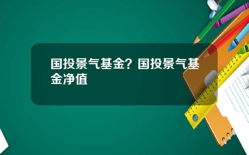 国投景气基金？国投景气基金净值