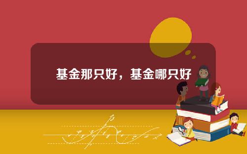 基金那只好，基金哪只好