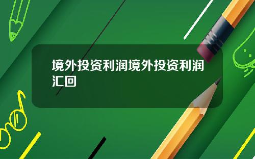 境外投资利润境外投资利润汇回