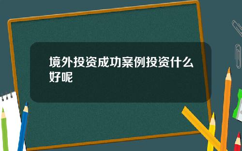 境外投资成功案例投资什么好呢