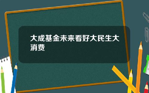 大成基金未来看好大民生大消费