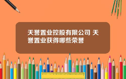 天誉置业控股有限公司 天誉置业获得哪些荣誉