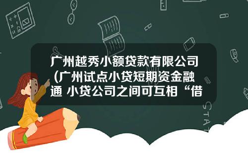 广州越秀小额贷款有限公司 (广州试点小贷短期资金融通 小贷公司之间可互相“借钱”)