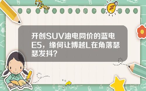 开创SUV油电同价的蓝电E5，缘何让博越L在角落瑟瑟发抖？