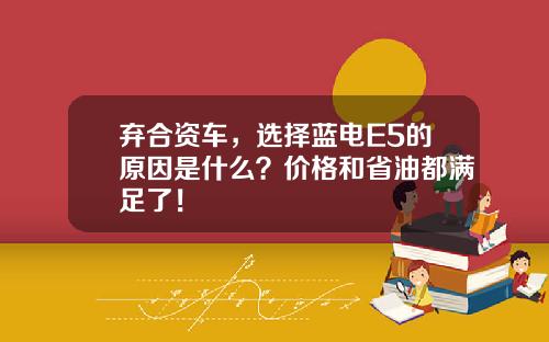弃合资车，选择蓝电E5的原因是什么？价格和省油都满足了！