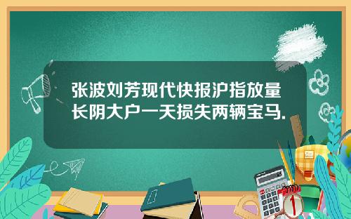 张波刘芳现代快报沪指放量长阴大户一天损失两辆宝马.