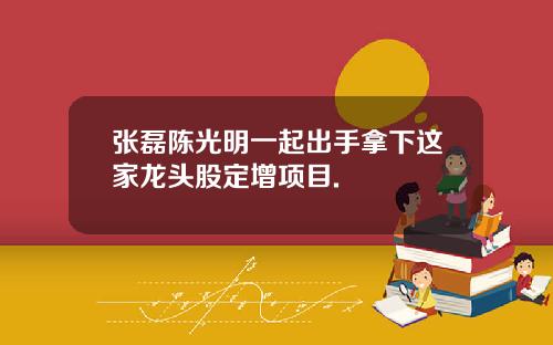 张磊陈光明一起出手拿下这家龙头股定增项目.