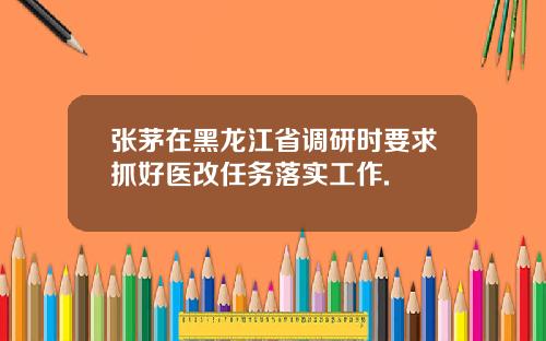 张茅在黑龙江省调研时要求抓好医改任务落实工作.