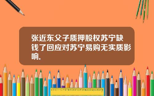 张近东父子质押股权苏宁缺钱了回应对苏宁易购无实质影响.