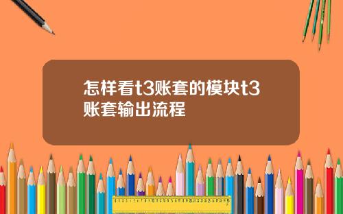 怎样看t3账套的模块t3账套输出流程