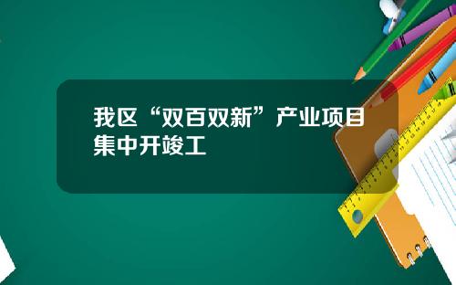 我区“双百双新”产业项目集中开竣工