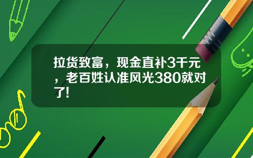 拉货致富，现金直补3千元，老百姓认准风光380就对了!
