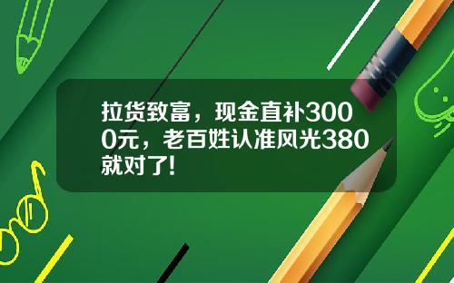 拉货致富，现金直补3000元，老百姓认准风光380就对了!
