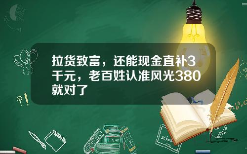 拉货致富，还能现金直补3千元，老百姓认准风光380就对了