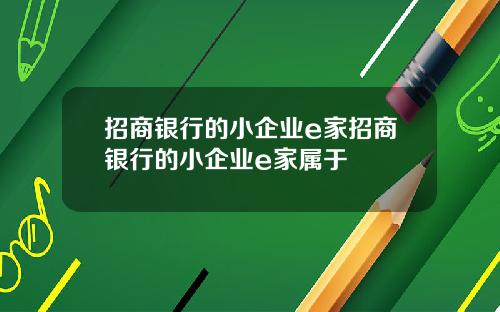 招商银行的小企业e家招商银行的小企业e家属于