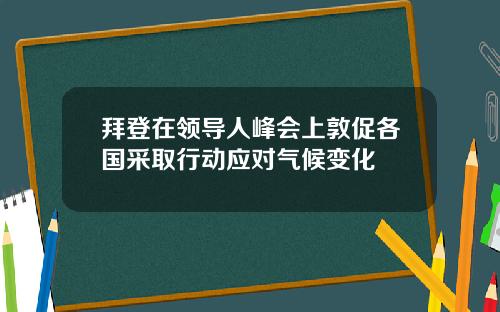 拜登在领导人峰会上敦促各国采取行动应对气候变化