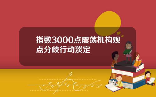 指数3000点震荡机构观点分歧行动淡定