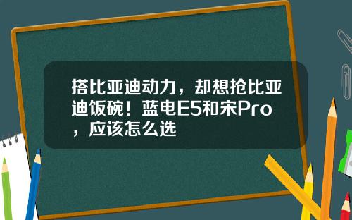 搭比亚迪动力，却想抢比亚迪饭碗！蓝电E5和宋Pro，应该怎么选