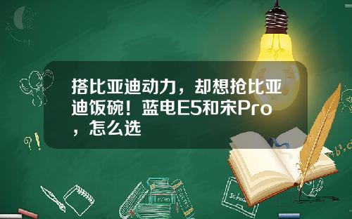搭比亚迪动力，却想抢比亚迪饭碗！蓝电E5和宋Pro，怎么选