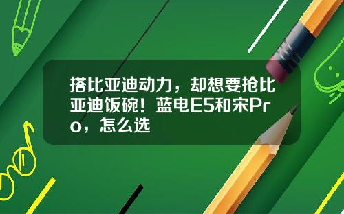 搭比亚迪动力，却想要抢比亚迪饭碗！蓝电E5和宋Pro，怎么选